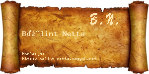 Bálint Netta névjegykártya